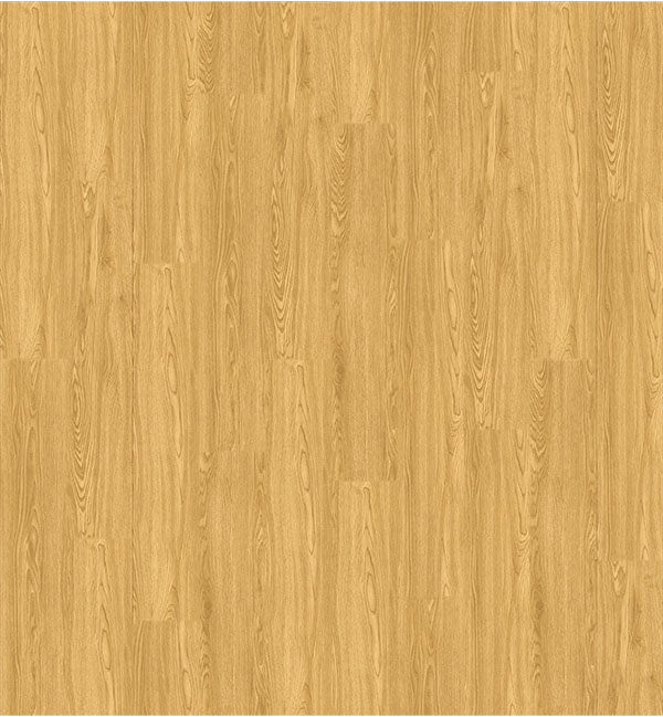 SPC4_0005_407 Oak