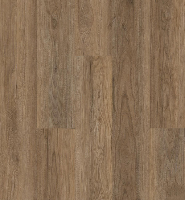 SPC4_0010_402 Walnut