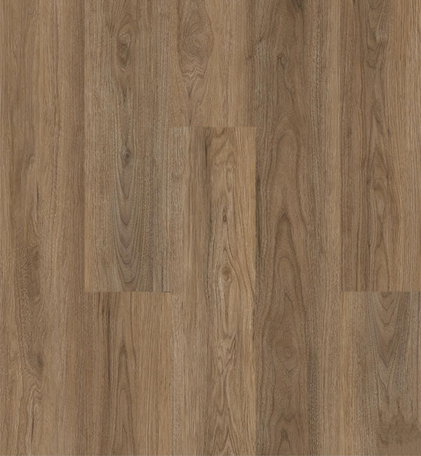 SPC8_0006_804 Walnut